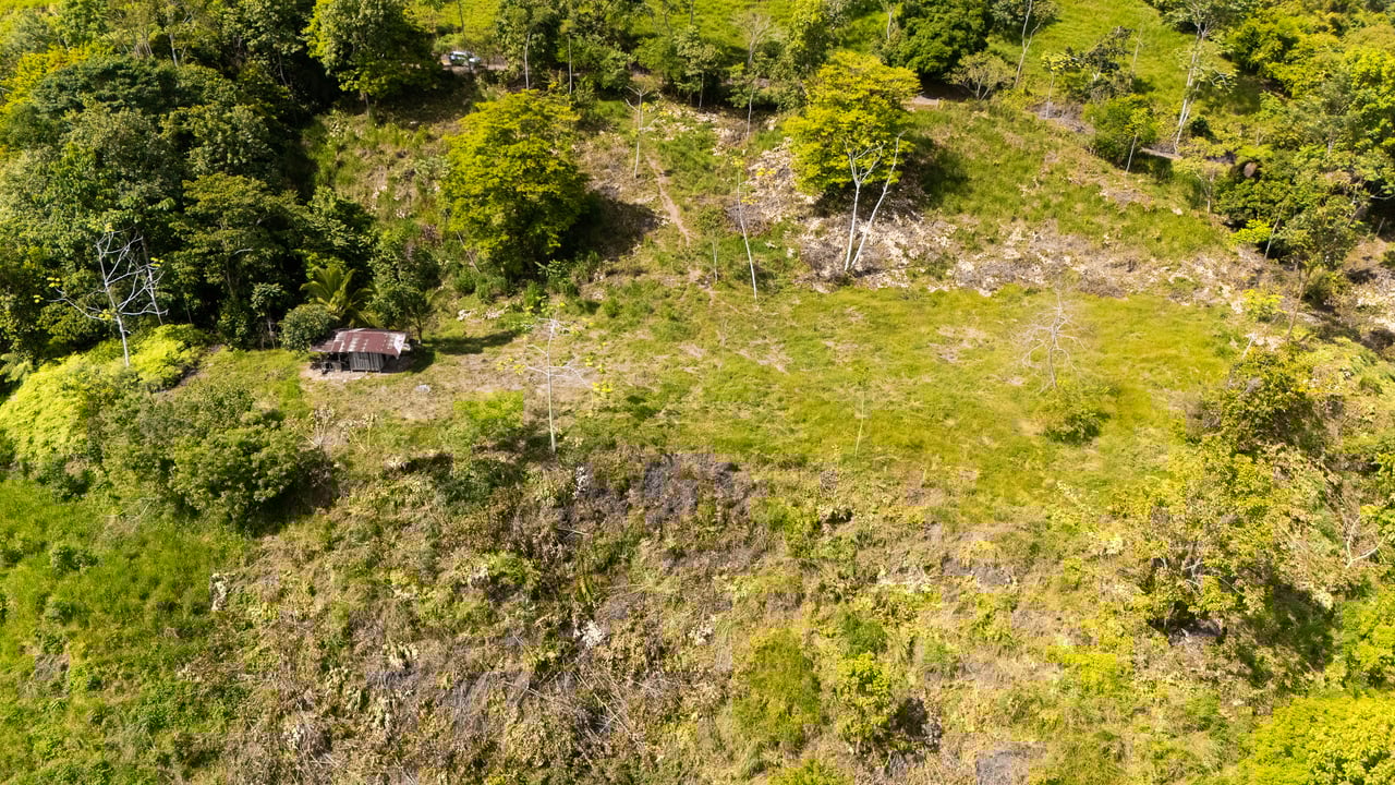 San Josecito Farm Above Uvita, 4 Acres, Creek and Usable Land