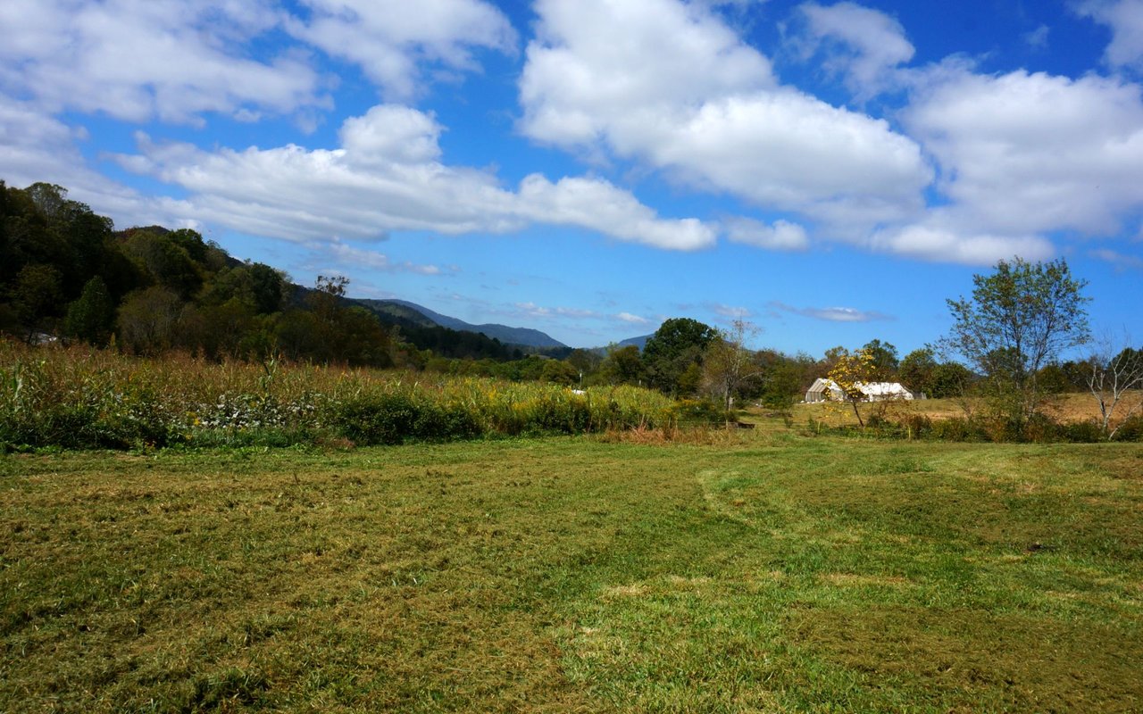 South Cliff Fairview