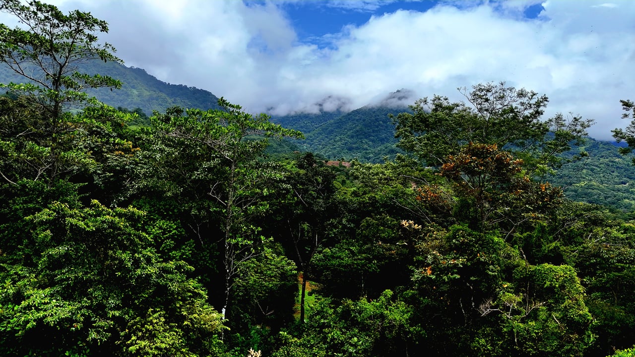Costa Azul Residential Project - Tres Ríos de Osa, Costa Rica