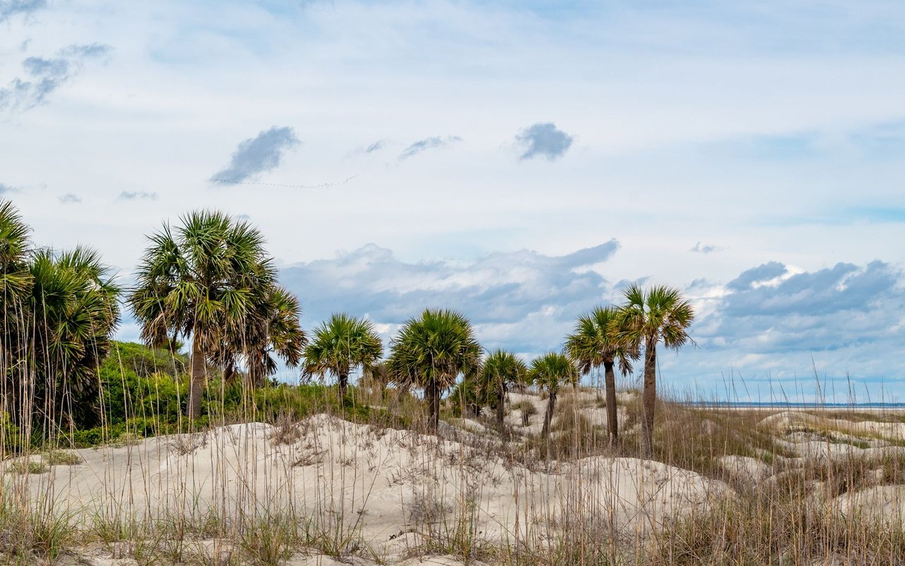 Palmetto Dunes