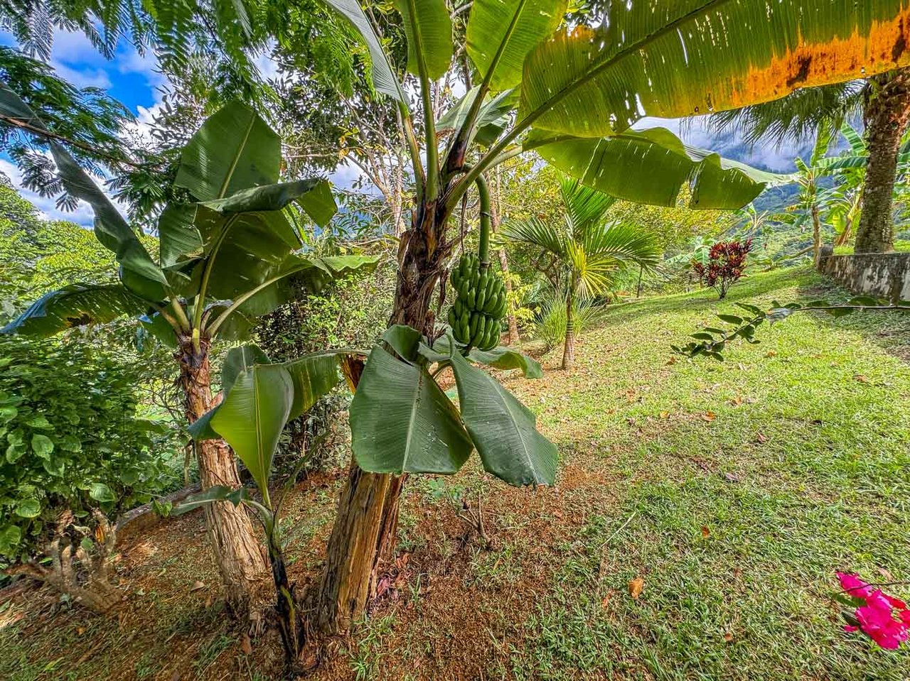 Ocean, Jungle & Mountain View Home in Ojochal | Protected Jungle Setting