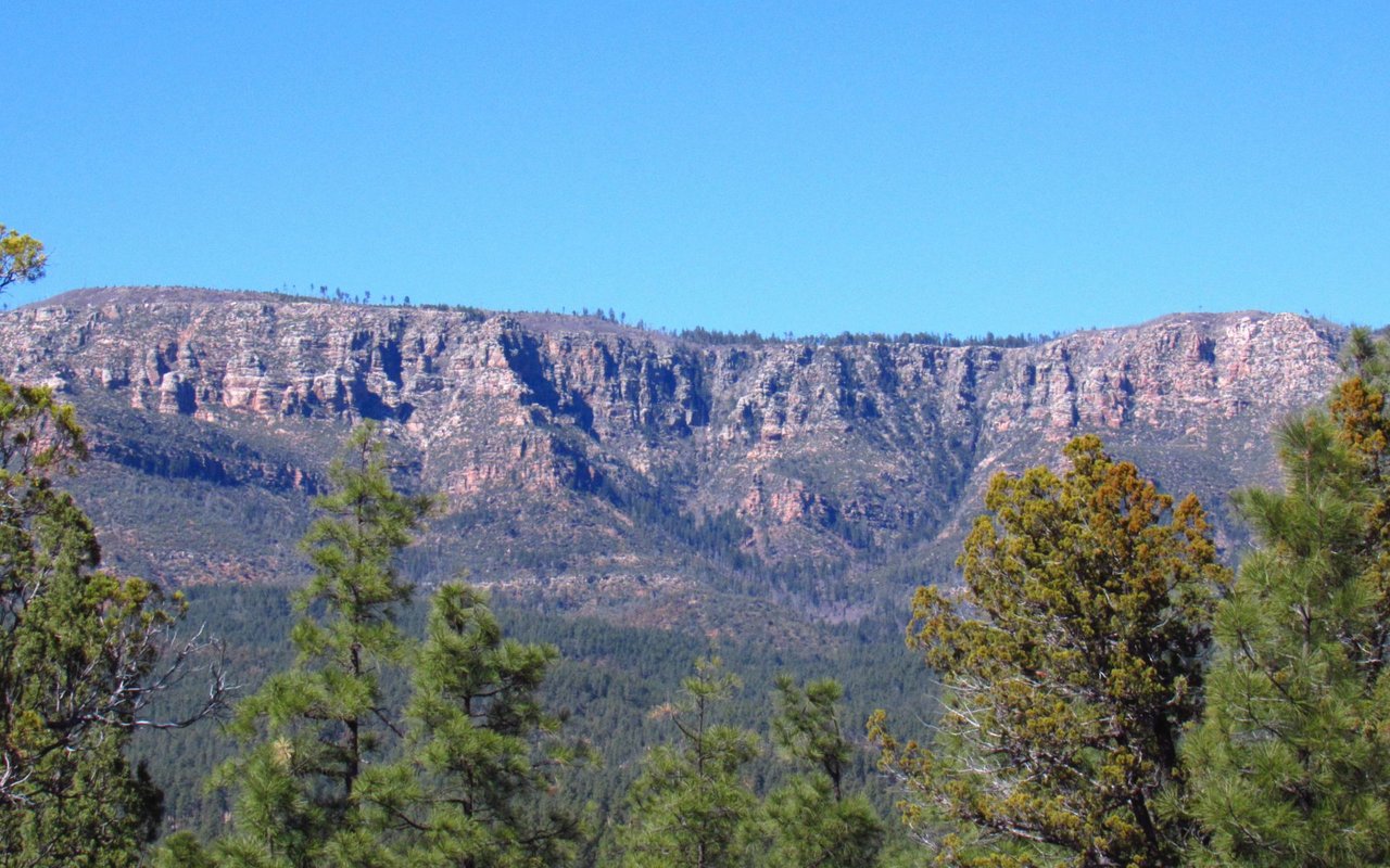 Payson