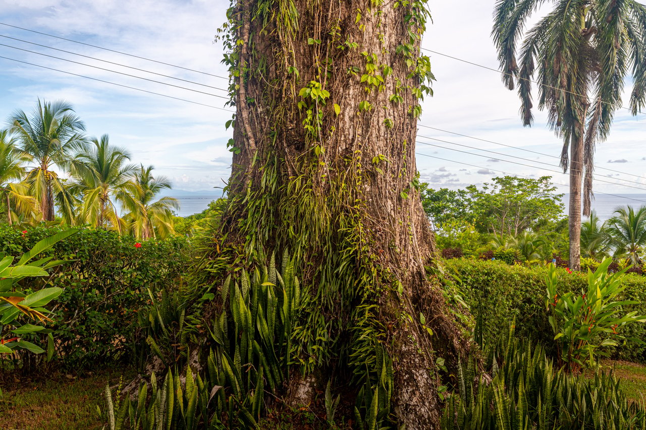 Classic Luxury at Casa Ceiba, Coastal Ocean View 4 Bedroom Home Near Uvita