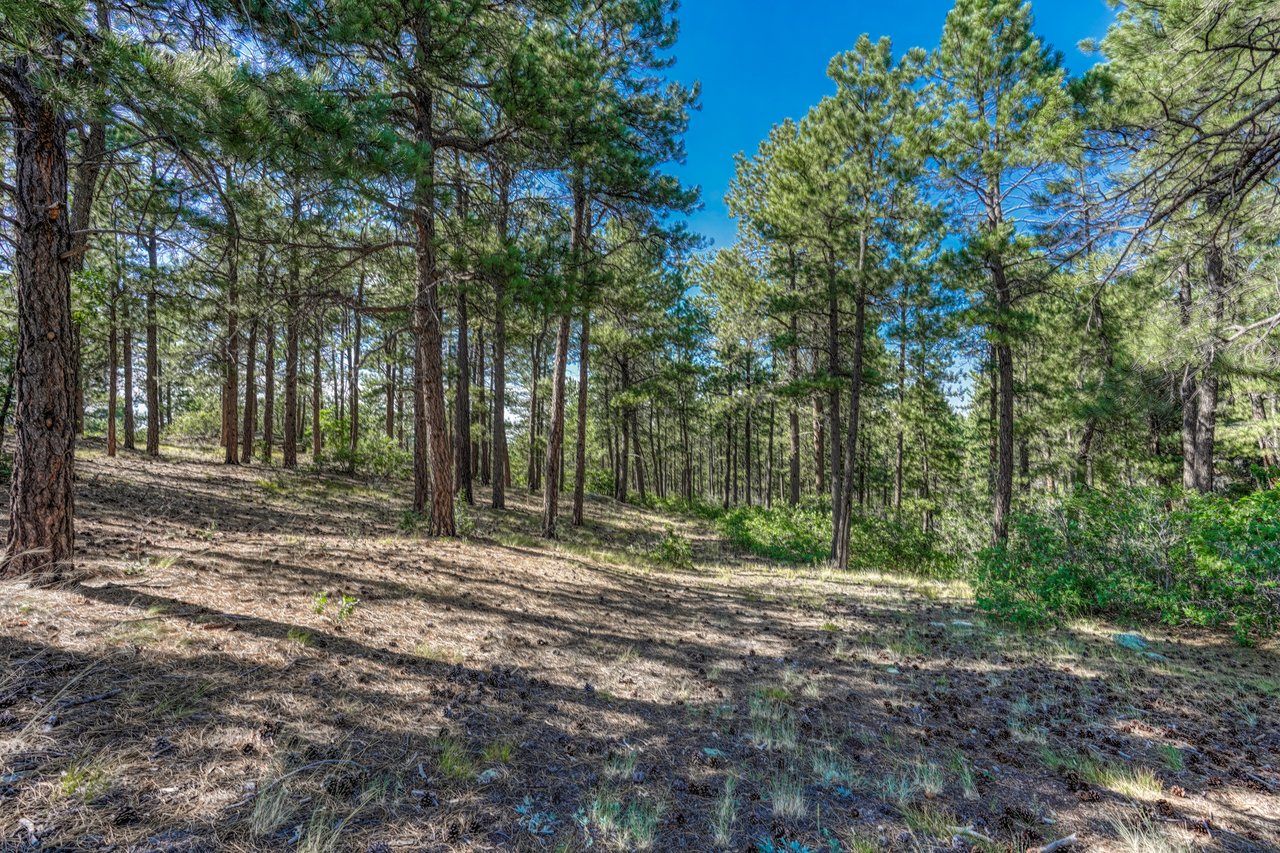 10345 Little Moon Trail