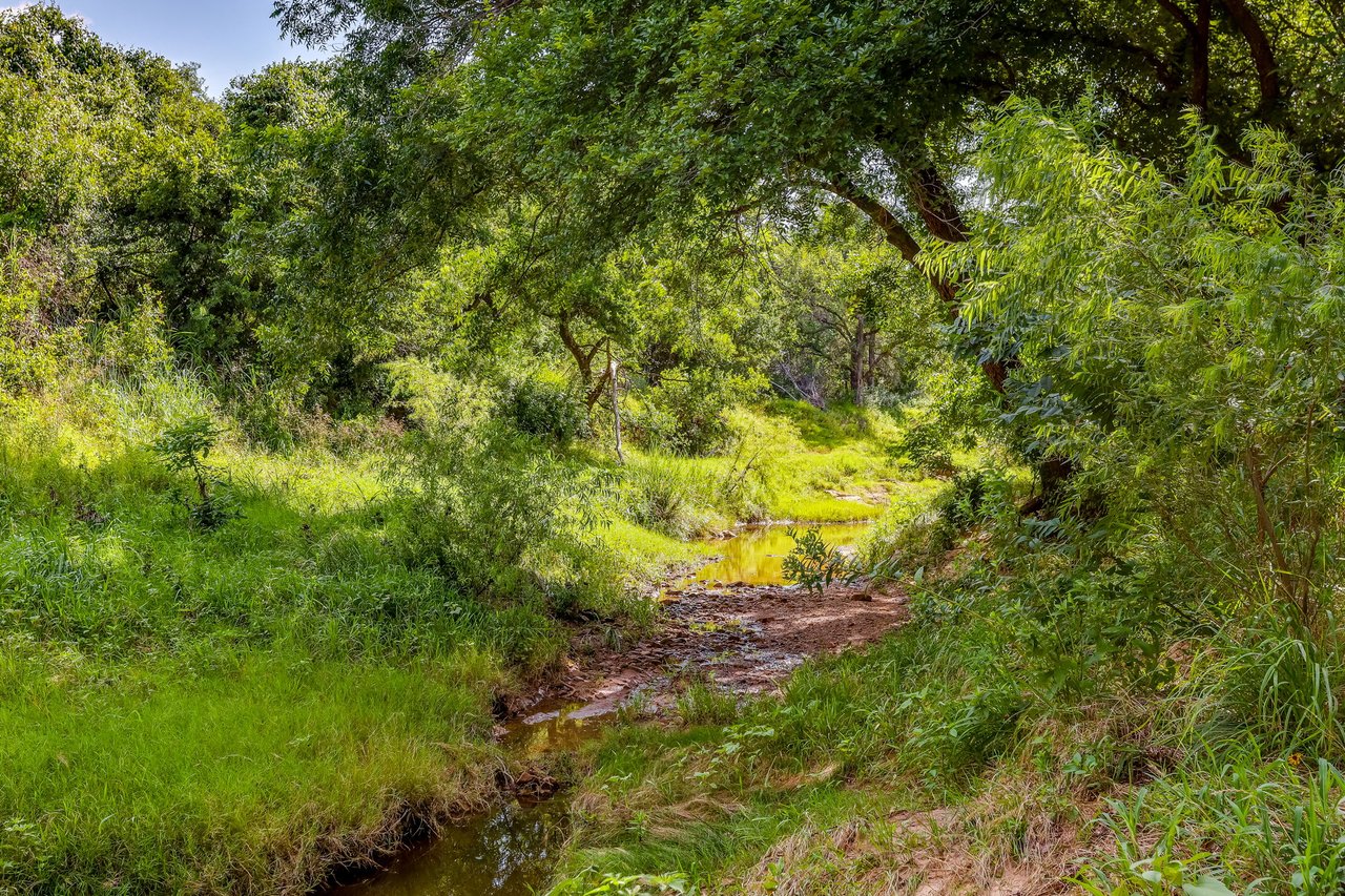 Saddle Ridge Ranch