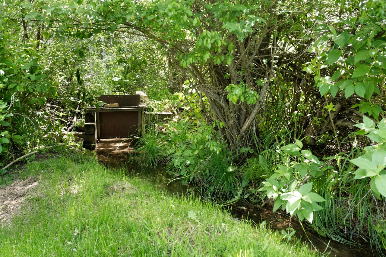 Wander Into Aspen's Hidden Oasis