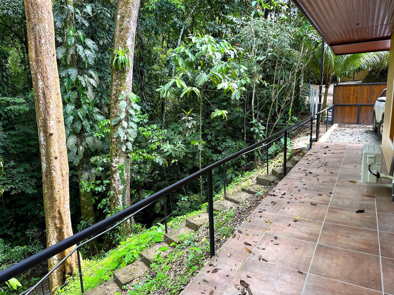 FIRE SALE! Jungle, Rivers, a Waterfall and Panoramic Ocean View