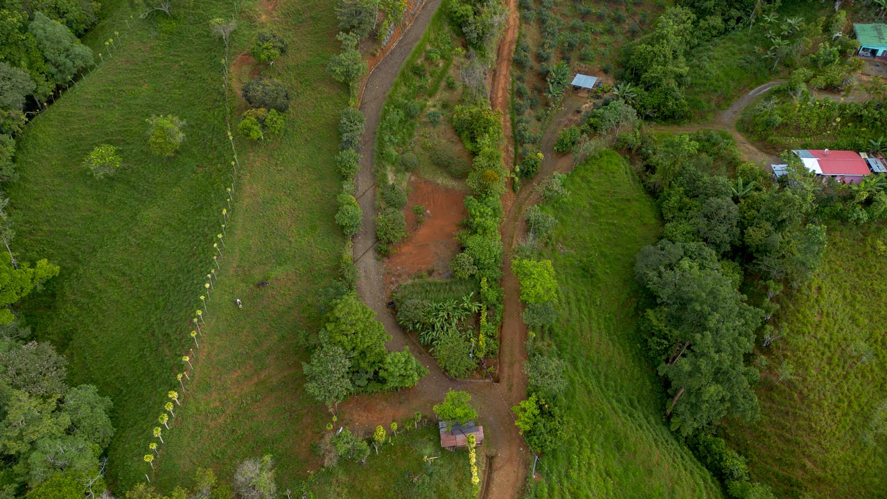 10.21 Acres with Views & Plantels – Pérez Zeledón