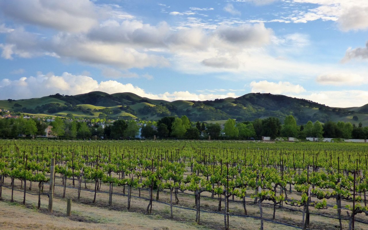 Livermore