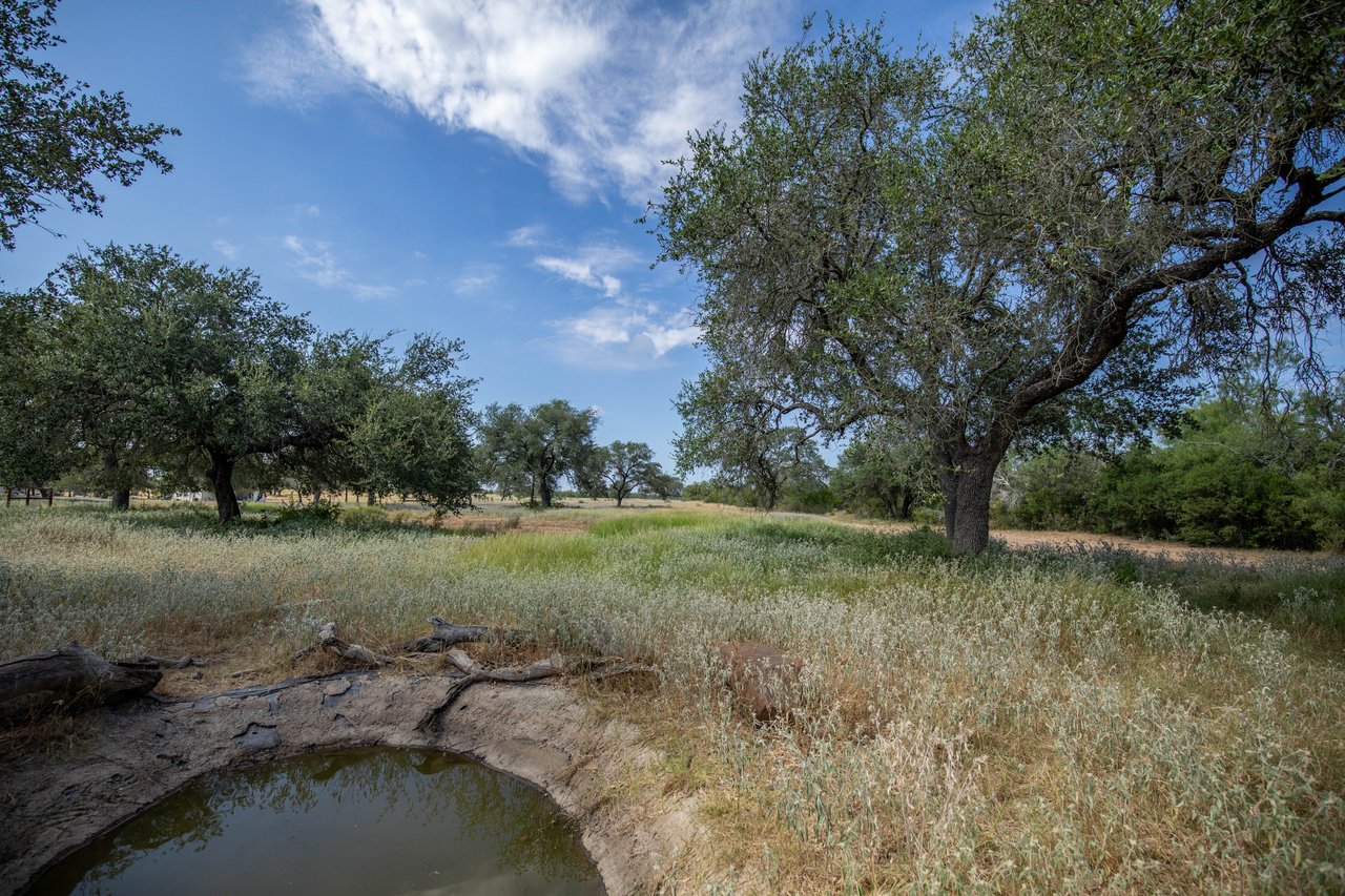Oaks, Wildlife, & the Quiet of the Countryside | 26.99± Acres | Poteet, TX