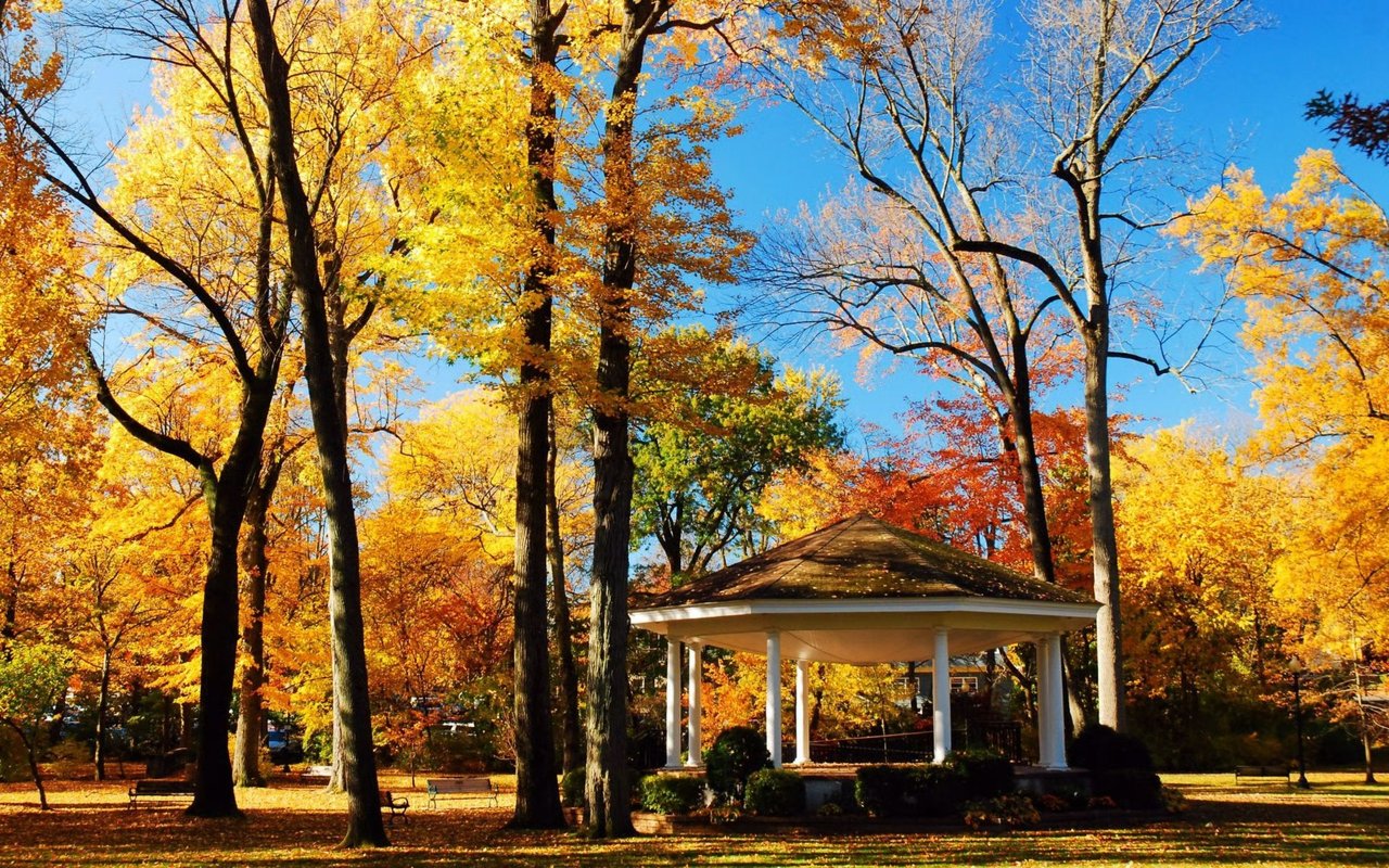 Montclair