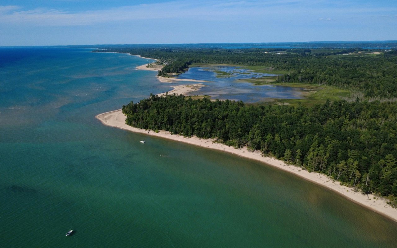 Burt Lake