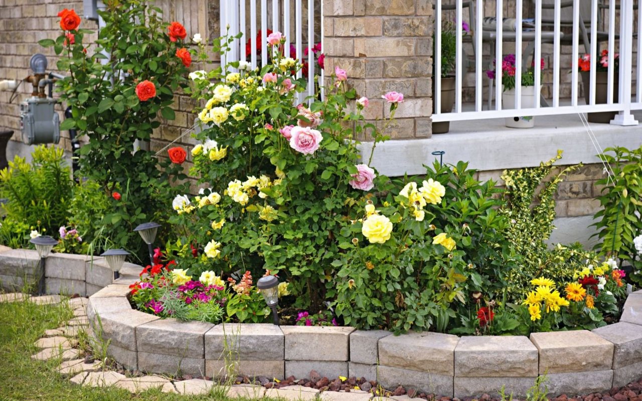 How to Find a Low-Maintenance Home Perfect for Single Homeowners