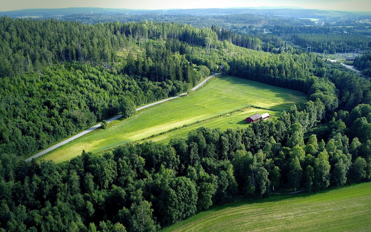 Farmville