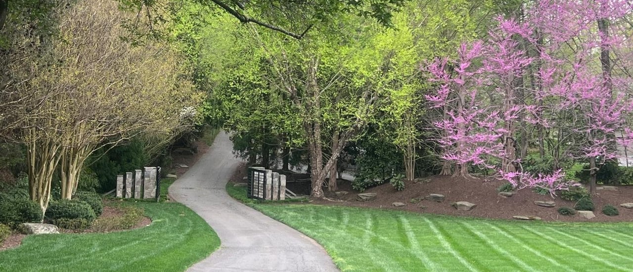 How to Find the Best Landscape Designer for Your Home