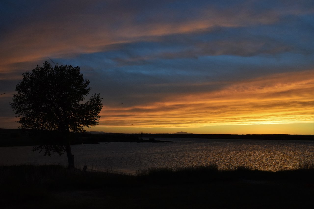 Wheatland