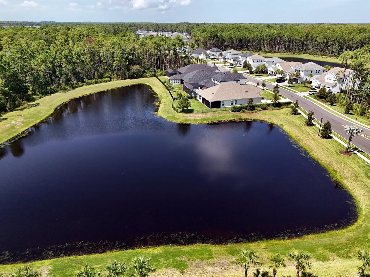 Aerial view of a large lake beside Palm Crest homes and a tree-lined street, with preserve stretching to the horizon in Nocatee.