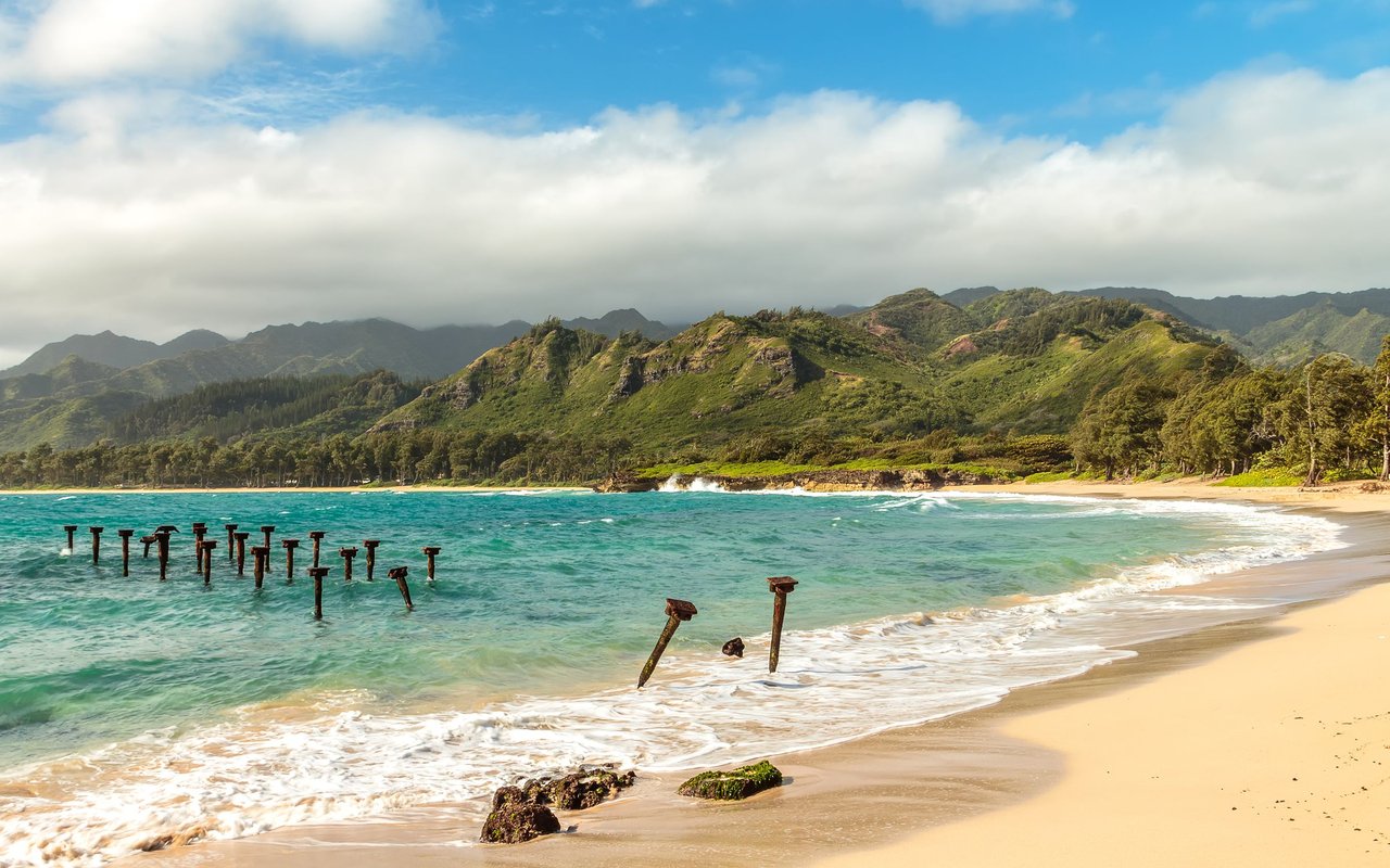Laie