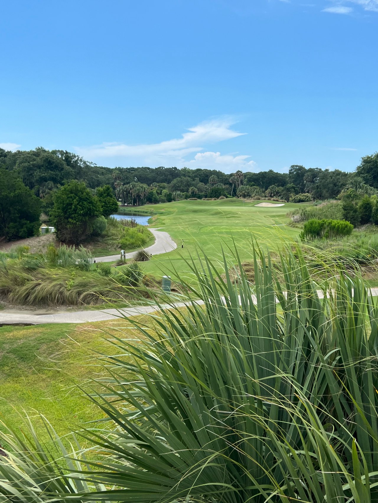 Isle Of Palms