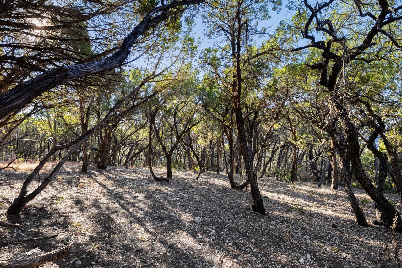 Christie's Masterpiece Living