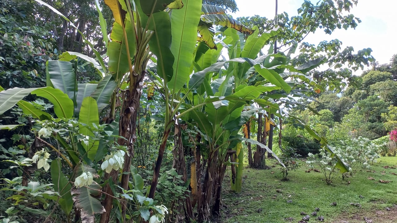 Charming Mountain Retreat with 2 Bedroom Home and Rustic Cabin