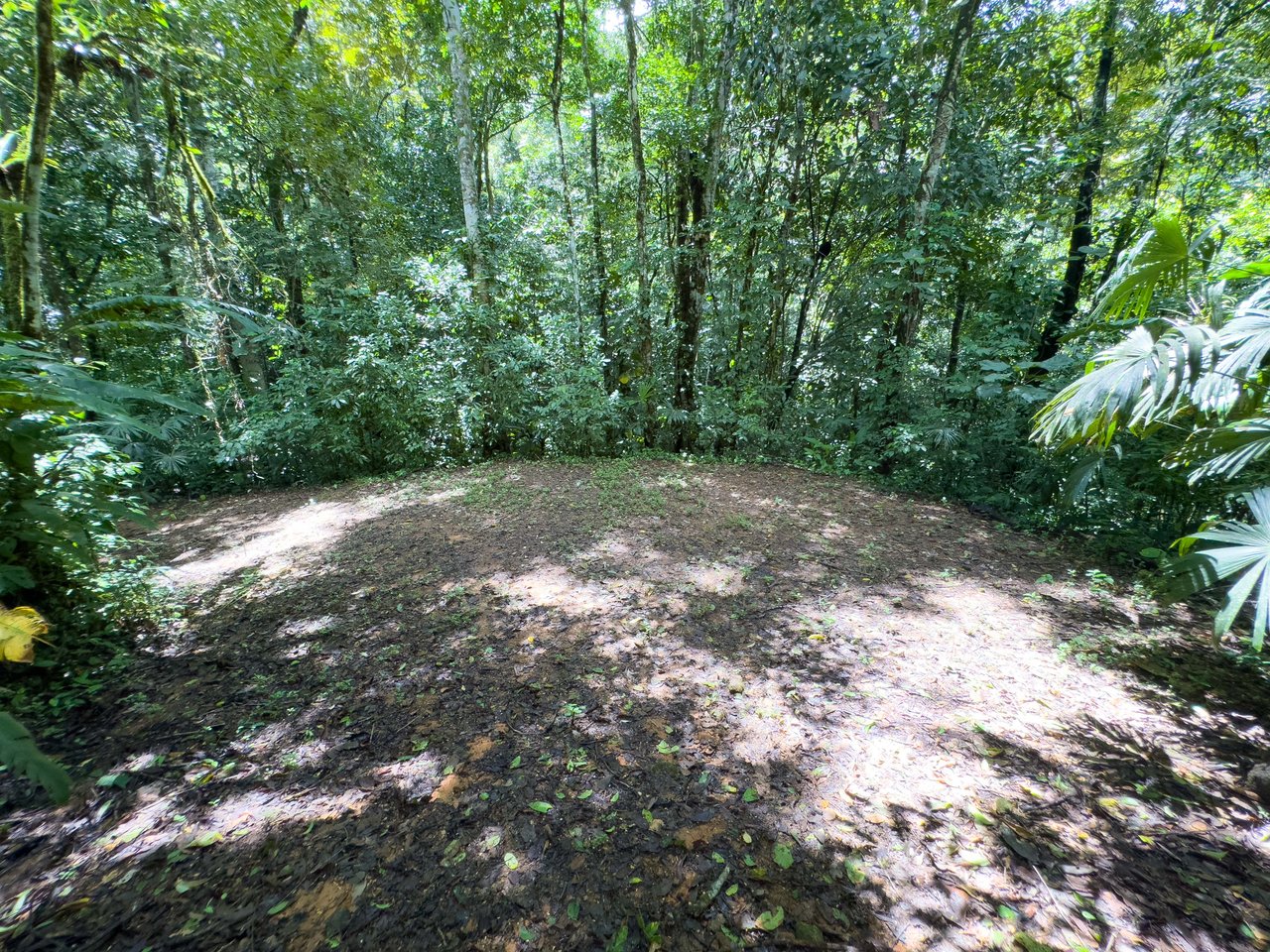 Valley of the Horses , Multi-Home Mountain Retreat -Dominical