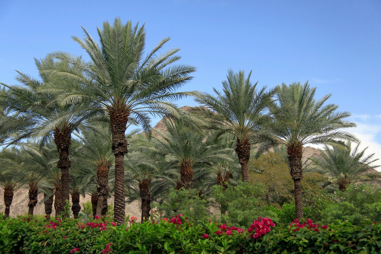 Rancho La Quinta Country Club