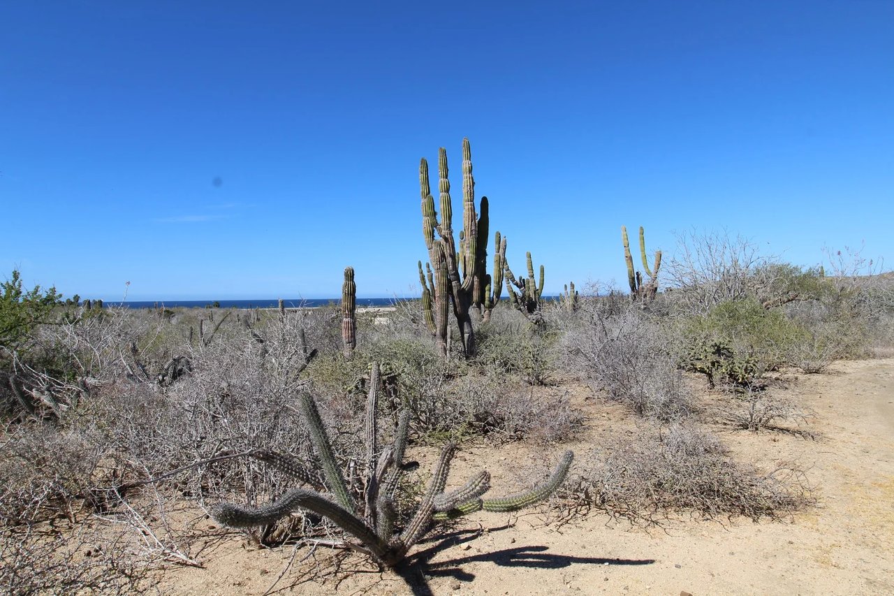 Ranchito Ellias Calles
