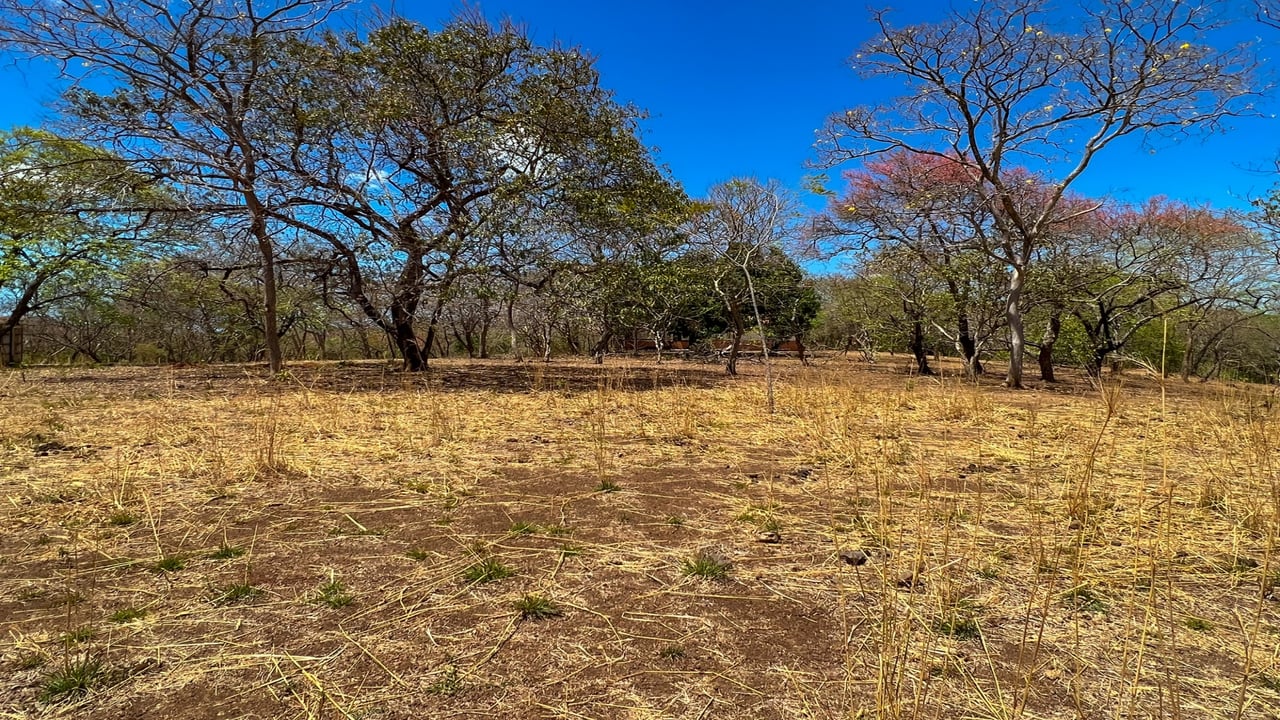 Junquillal Beachfront Lot #2