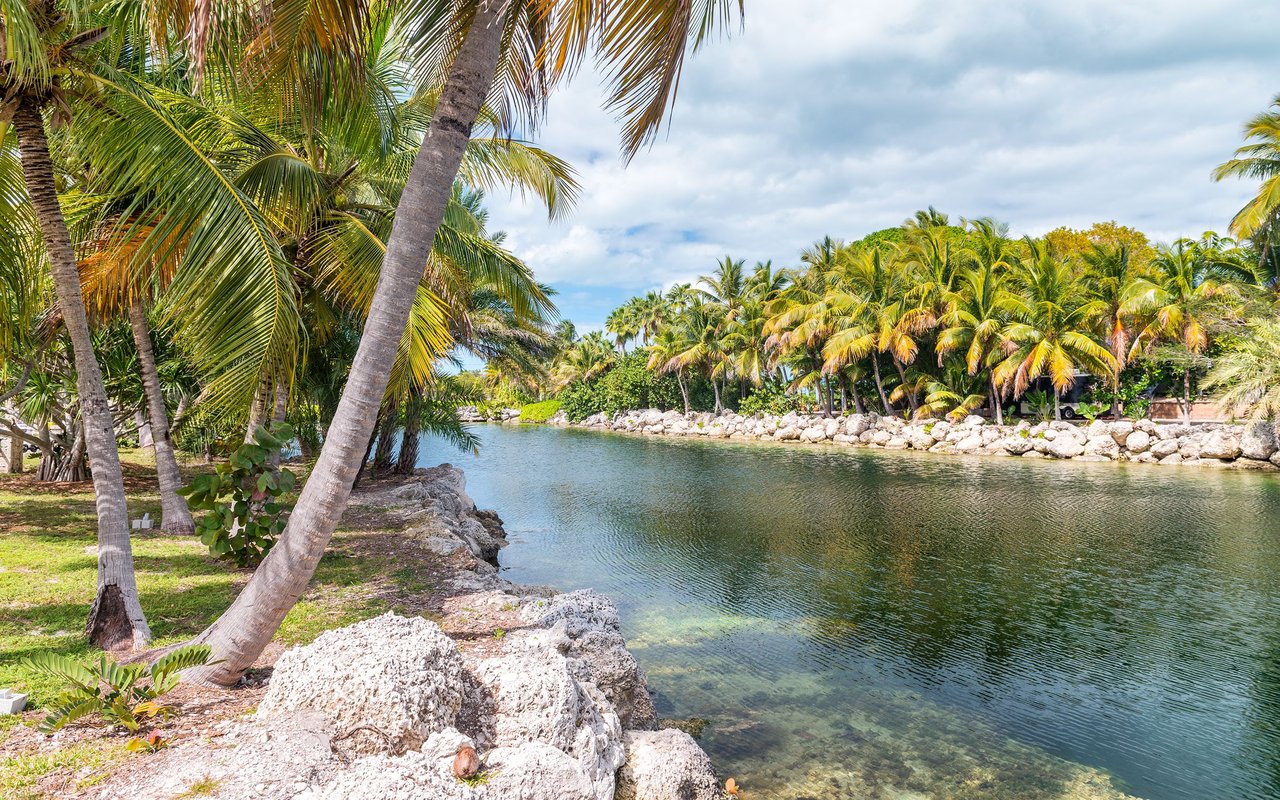 Palm-lined canal with a rocky shoreline on Shark Key.
