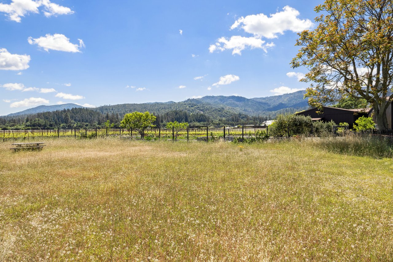 Vineyard View, St. Helena