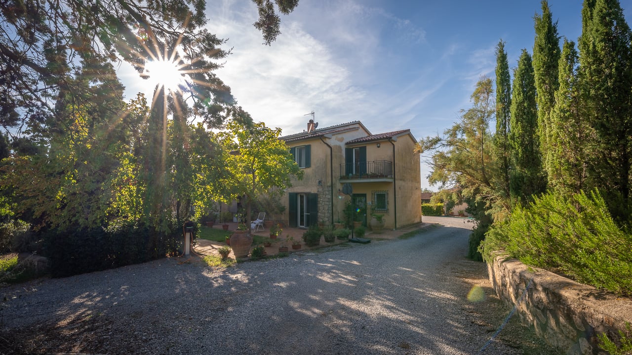 IL LEONE DEL FIORA