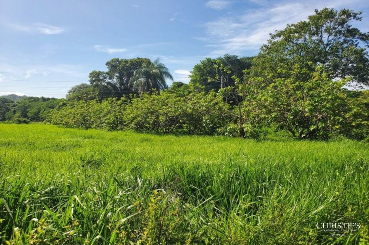 Commercial and Residential Lot for Sale in Colinas del Coyolar