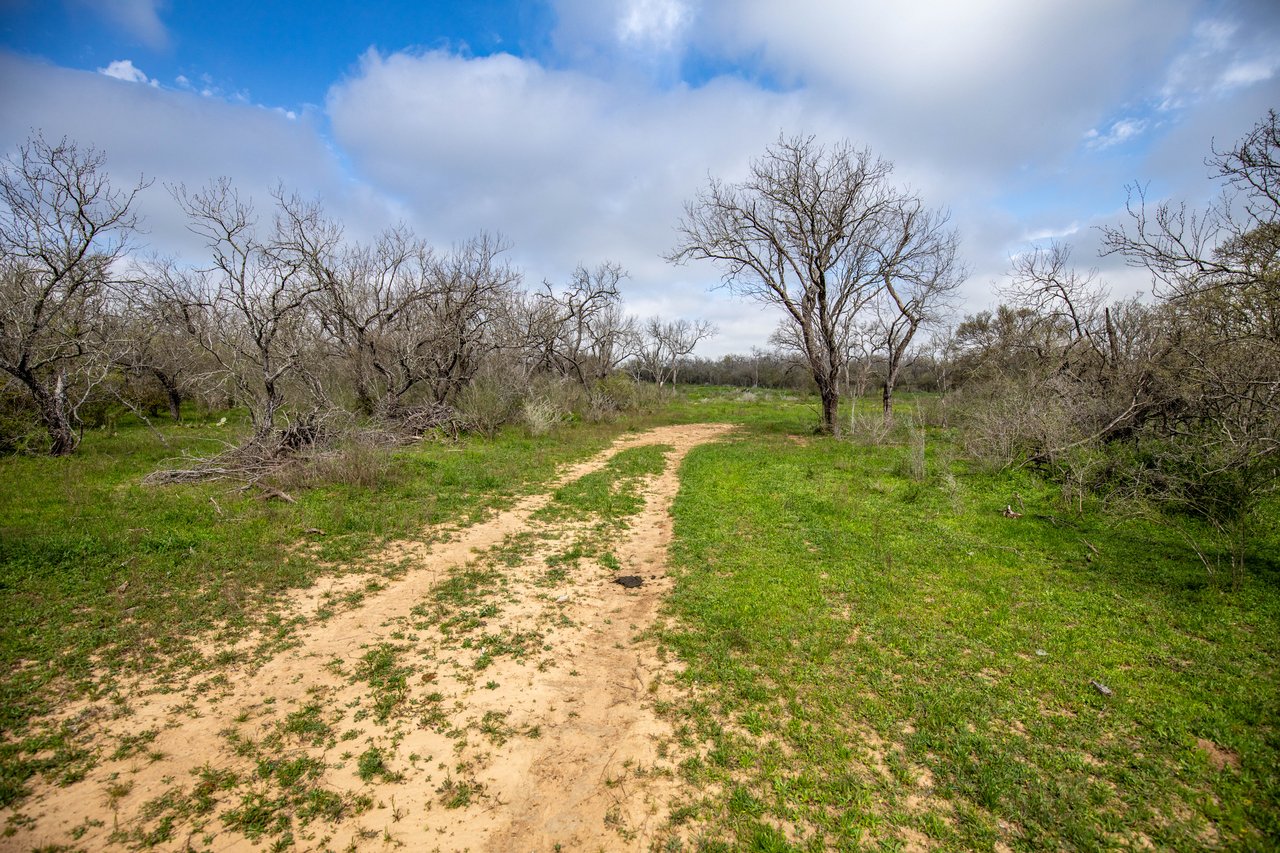 Dry Hollow Creek Ranch | 21.96± Acres | Bexar County