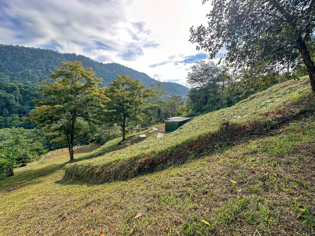 A Huge Rainforest, River & Waterfall Property With TWO Mountain & Jungle-View Luxury Homes on a Massive 4.93 Acre Lot – PLUS an Additional Plantel ready for Development
