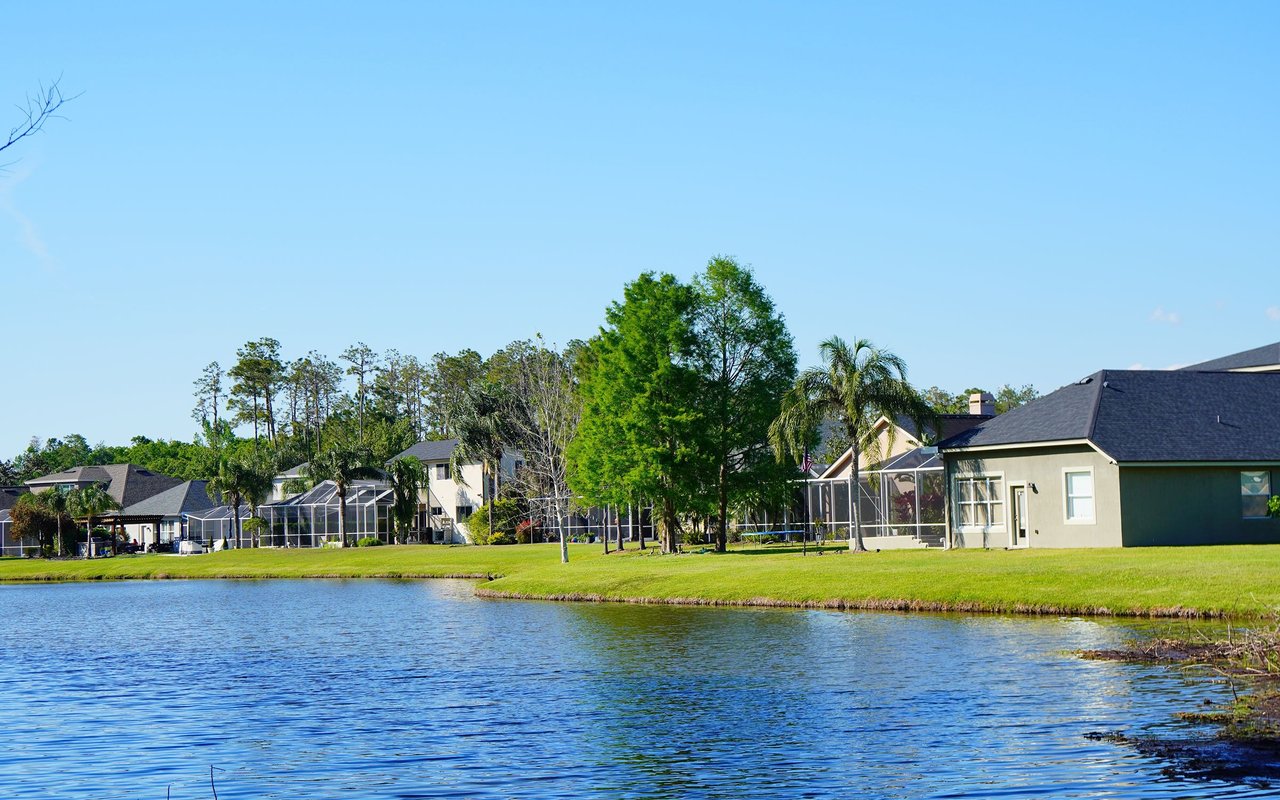 Tampa Palms