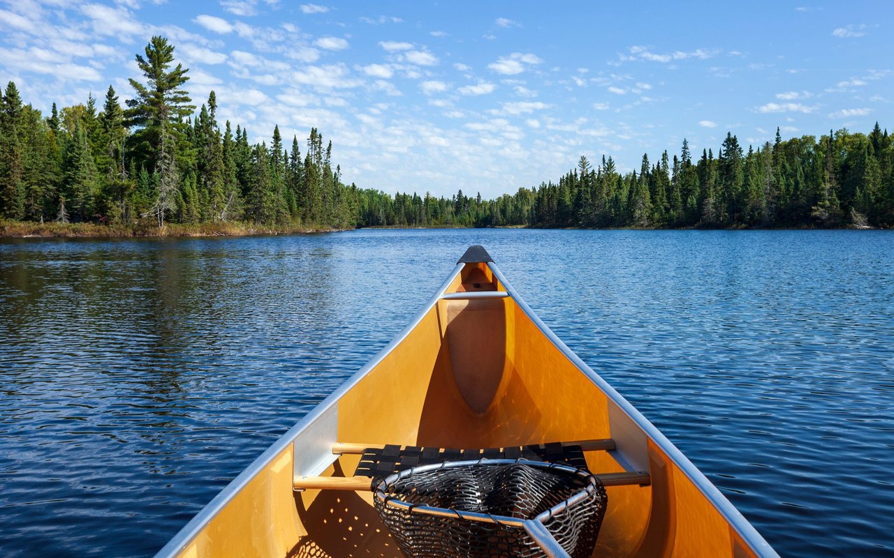 Forest Lake