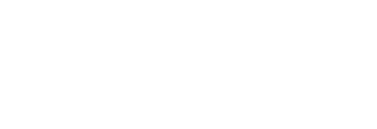 Amanda Vang Team