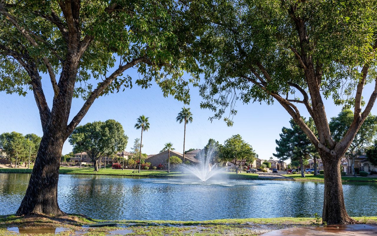 Barney Farms, Queen Creek