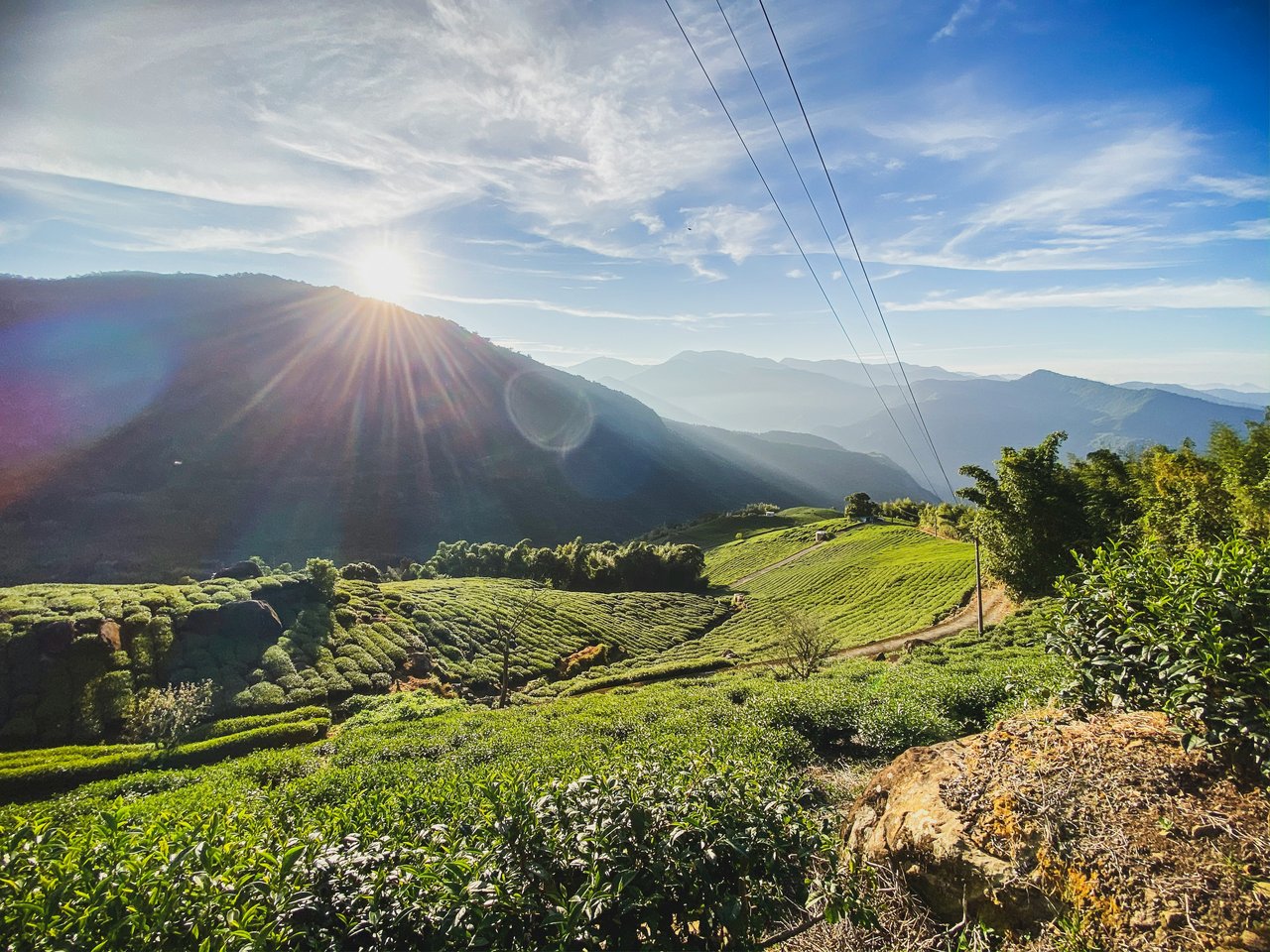 Healdsburg and Sonoma County Summer 2026 Market Update