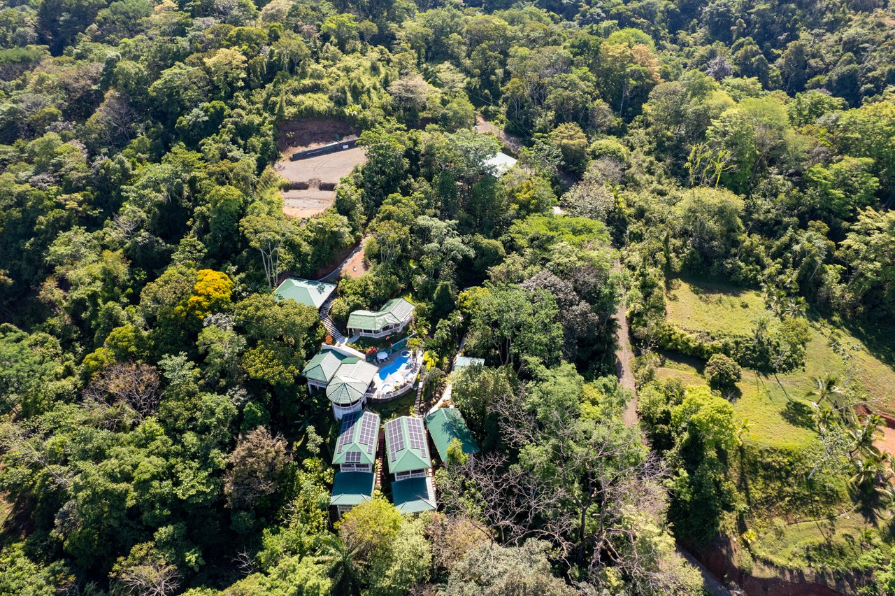 Income Producing Mango Tree Villas