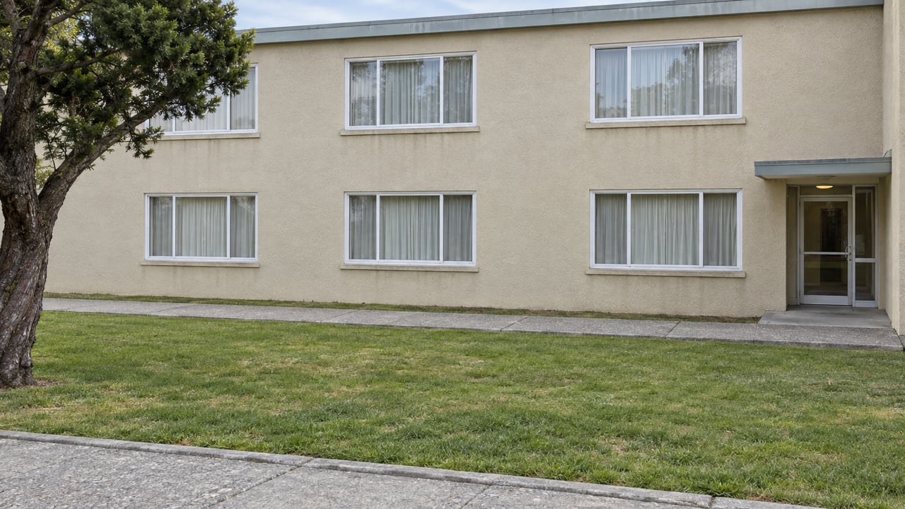 A shared lawn and concrete paths in front of a two-story pale stucco apartment building, with a mature wind-shaped cypress at the left.