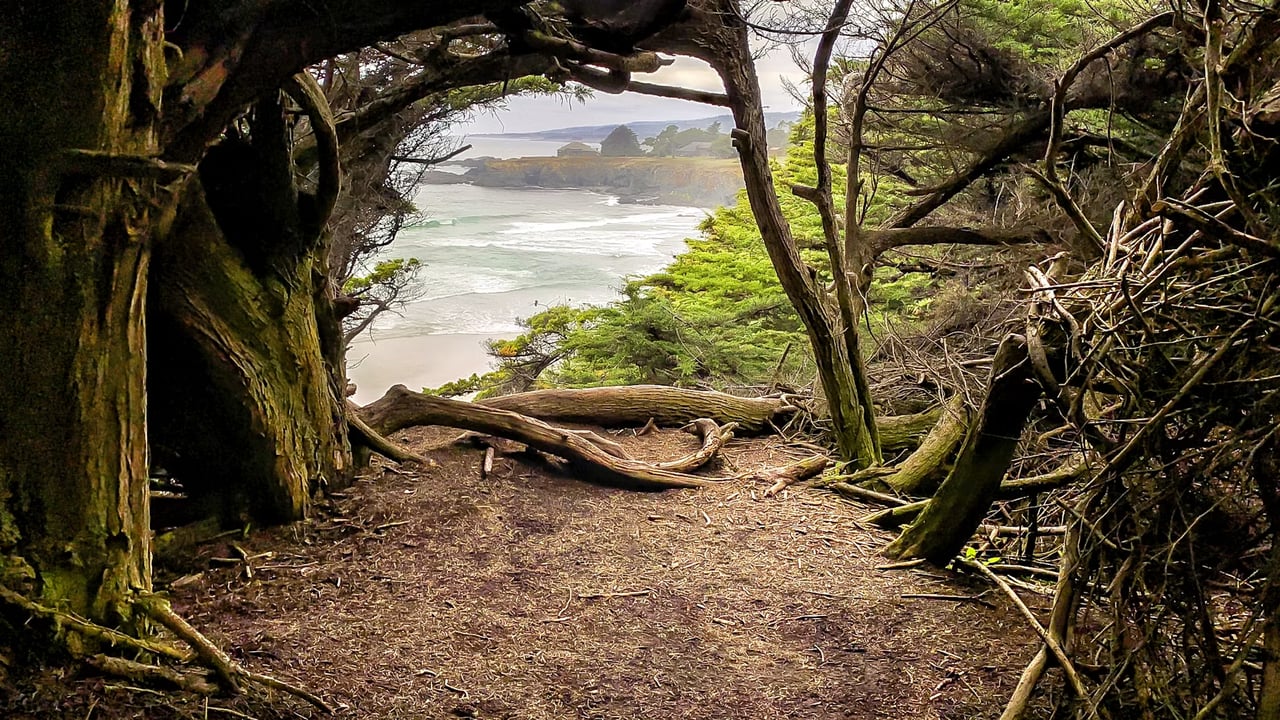 Things You Might Not Know About The Sea Ranch, CA