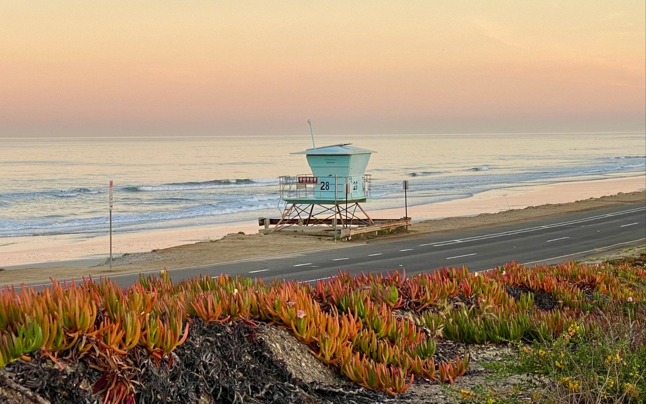 Fall in North County San Diego: The Season Locals Wait All Year For