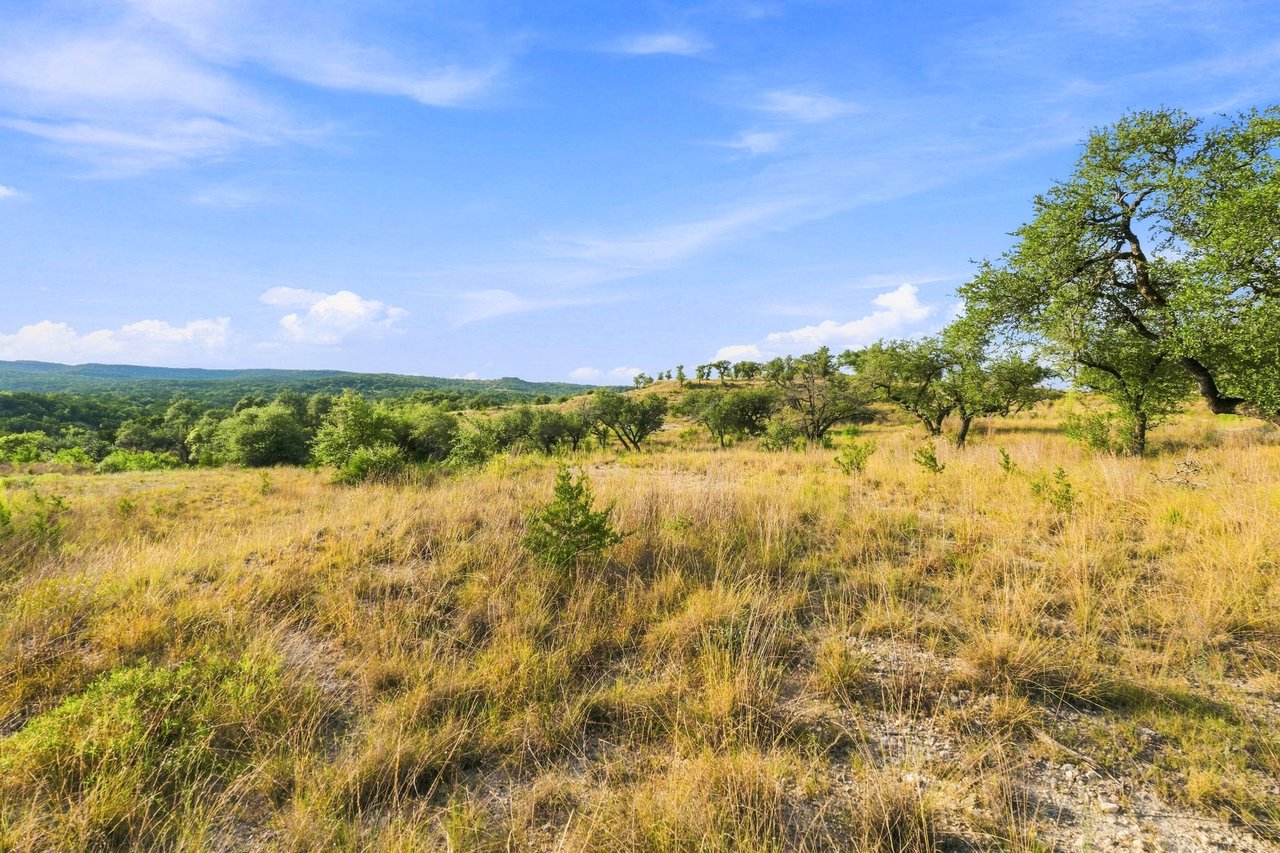 Open ranchland with golden grasses, scattered oak trees, and rolling wooded hills beneath a blue sky.