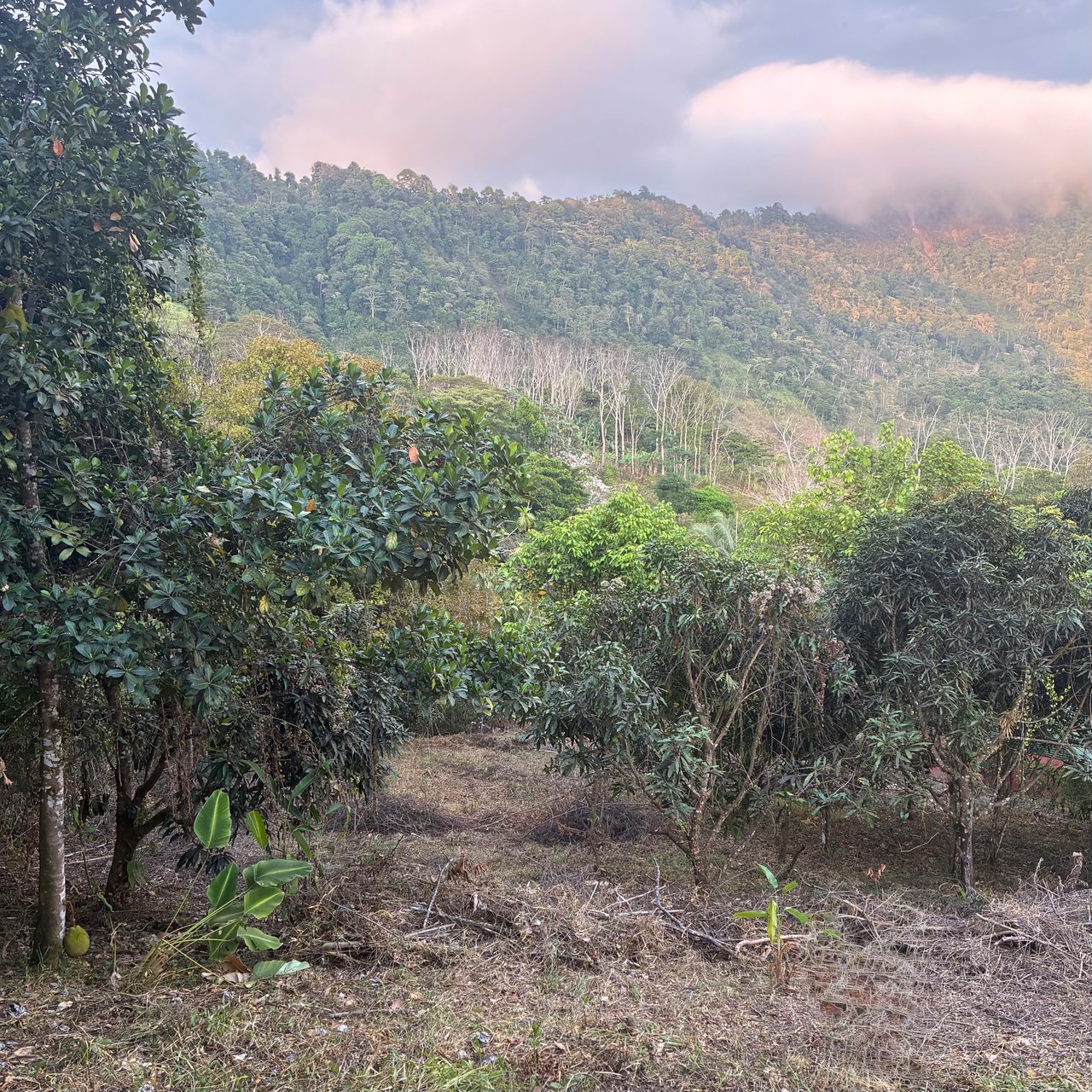 Ocean & Mountain View Lot with Multiple Building Sites-20 Minutes from Uvita