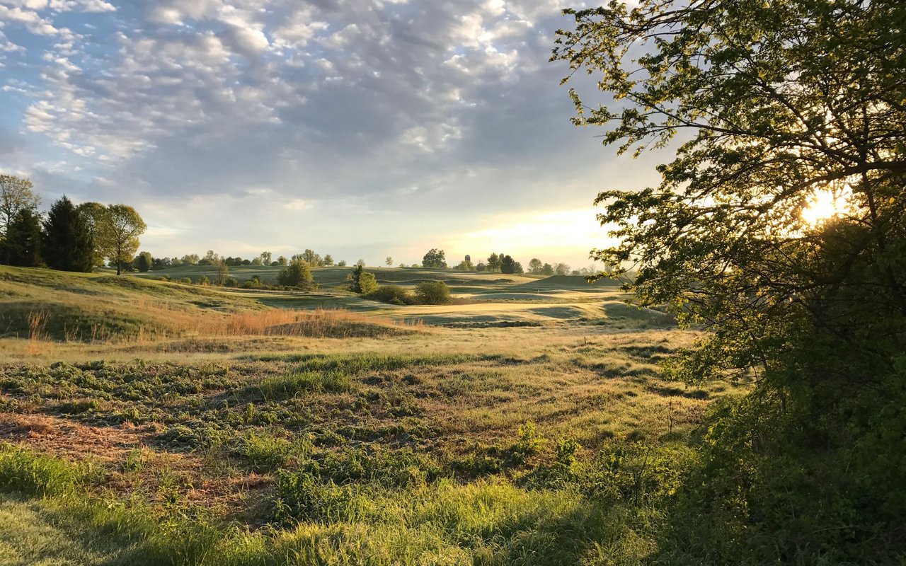 Developments for Sale