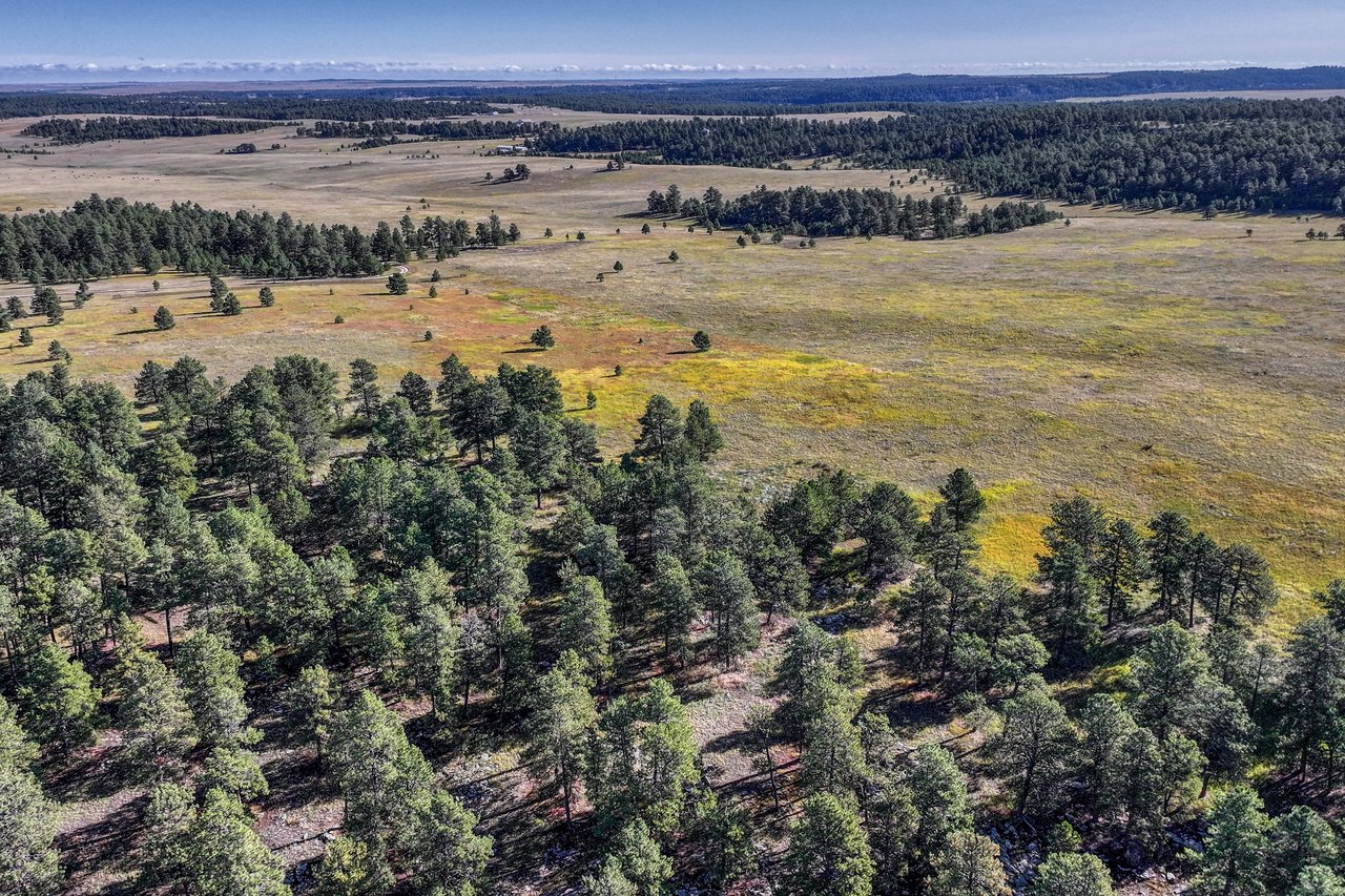19100 County Road 17