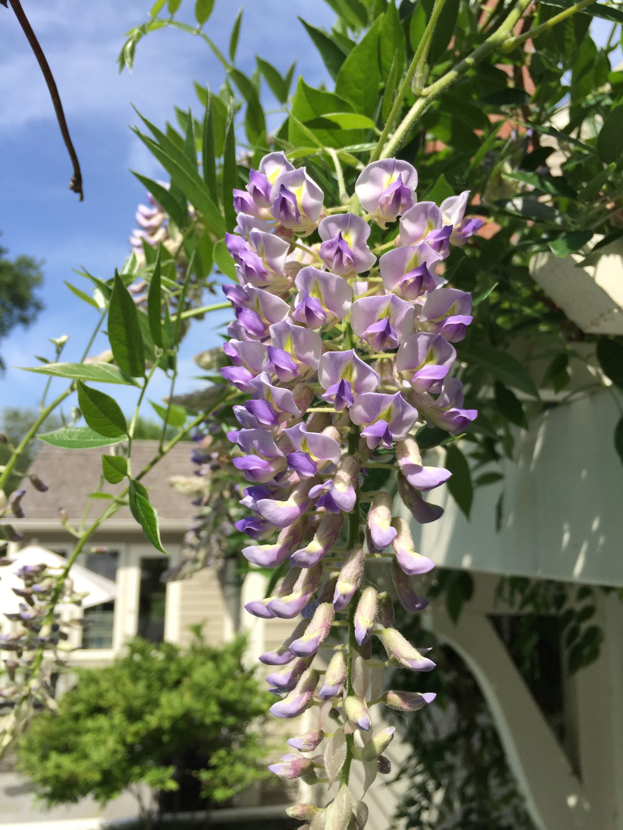 235 Hollander Road, Wayzata