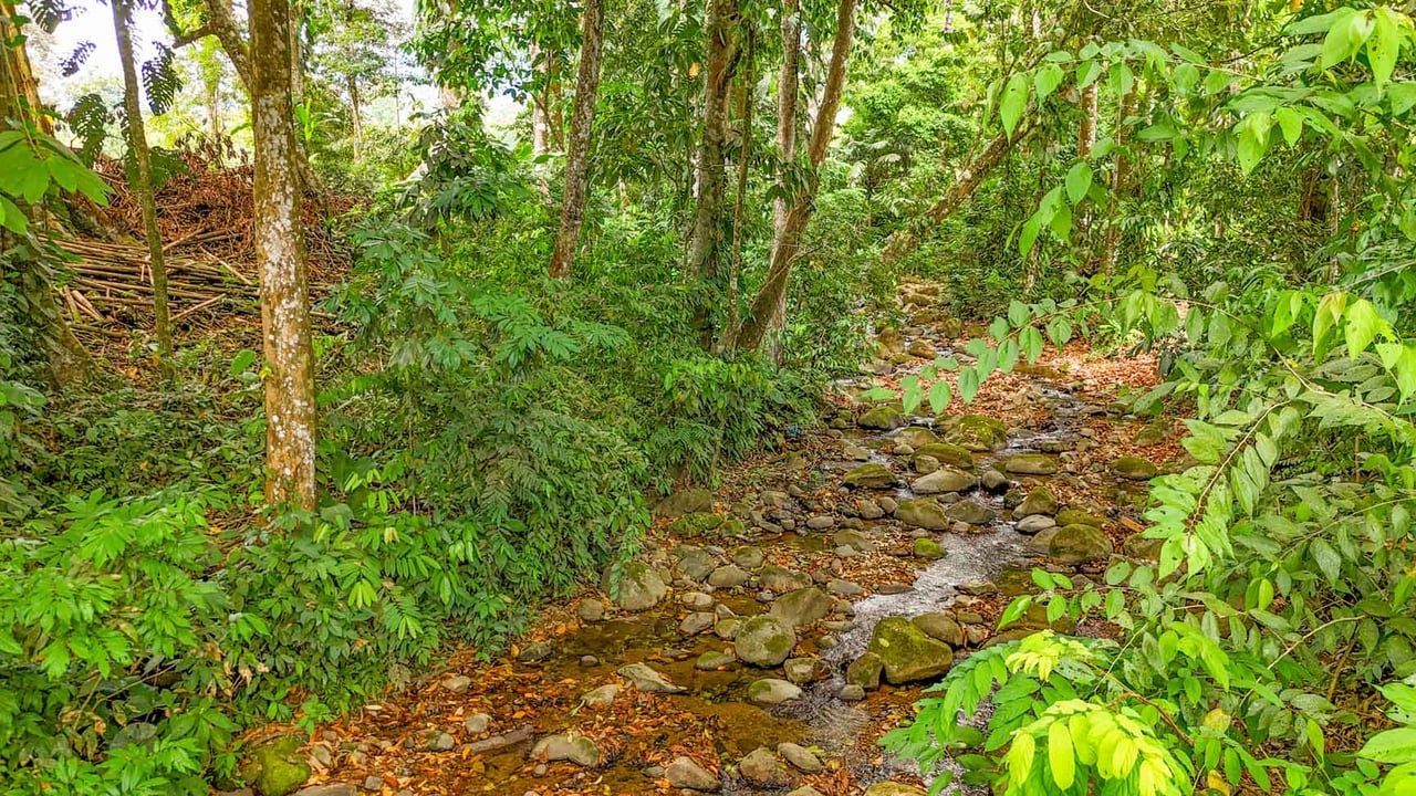 3-Bed Home on Calle Principal Ojochal with River & Jungle